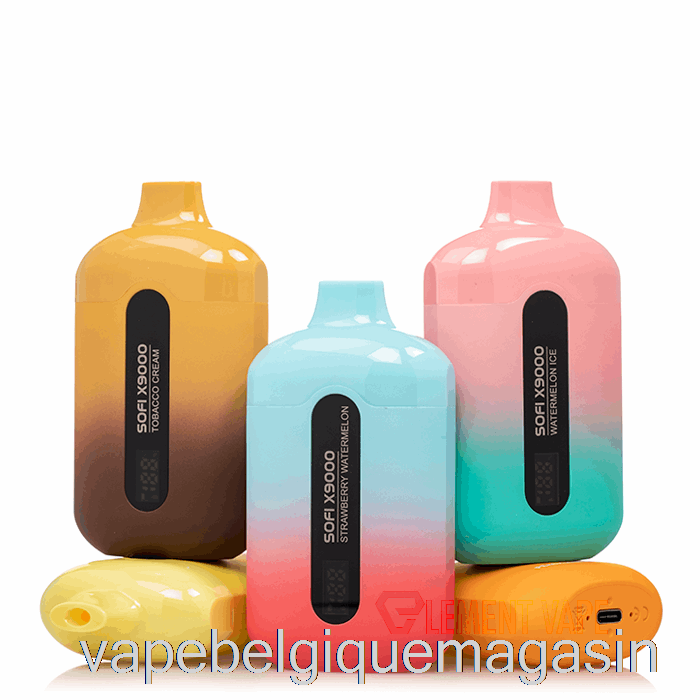 Vape Shop Bruxelles Sofi X9000 0% Zéro Nicotine Smart Jetable Double Pomme